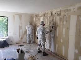 Best Attic Mold Removal  in Lapwai, ID